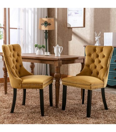 Set of 2 Dining Chairs Modern for Living Room Kitchen Accent Side Chair Solid Wood Legs Velvet Padded Cushion Seat and Back Gold